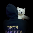 VityaCritical